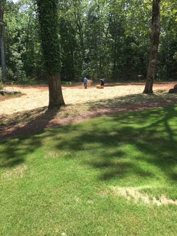 Professional garden landscaping with custom design in Loganville, GA by TurfCreek