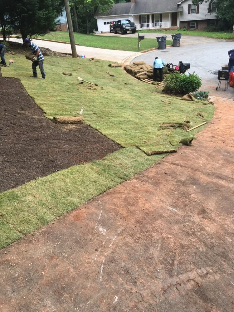 Top-rated yard maintenance for homes across Loganville, GA - TurfCreek