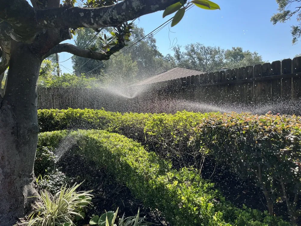 Top-rated landscape design experts serving Houston, TX - Turfcure