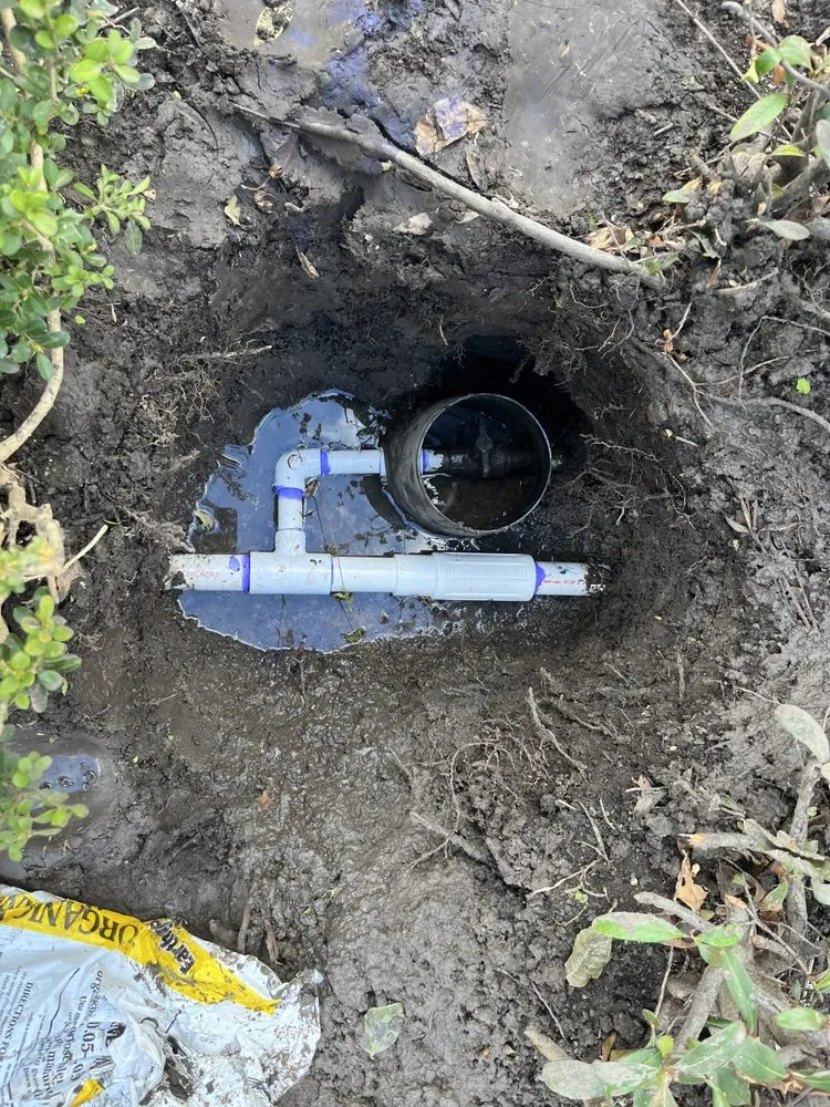 Top-rated yard maintenance in Houston, TX by Turfcure