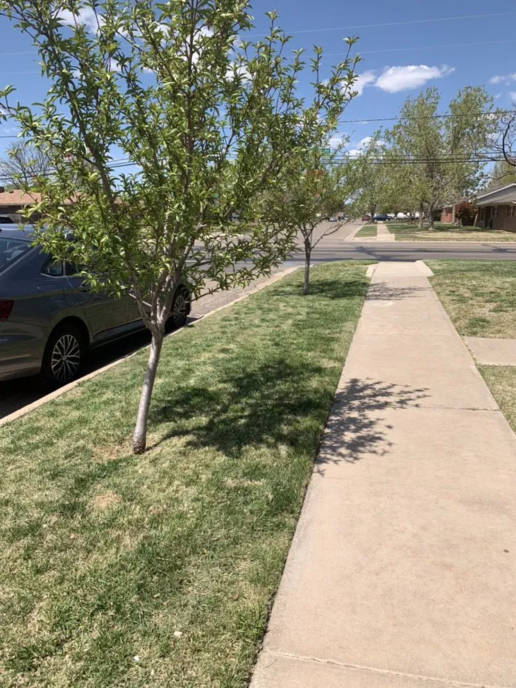 Top-rated lawn mowing service experts serving Amarillo, TX - TurfD LawnScaping