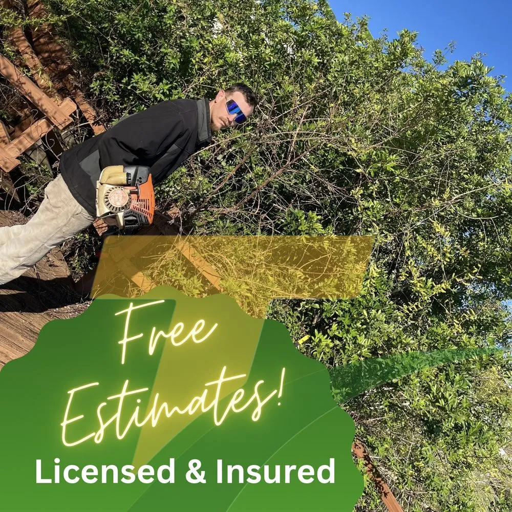 Local yard maintenance for residential properties across Fort Meade, FL - Turfection Lawn Care Services