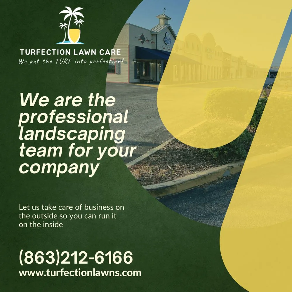 Custom yard cleanup service experts serving Fort Meade, FL - Turfection Lawn Care Services