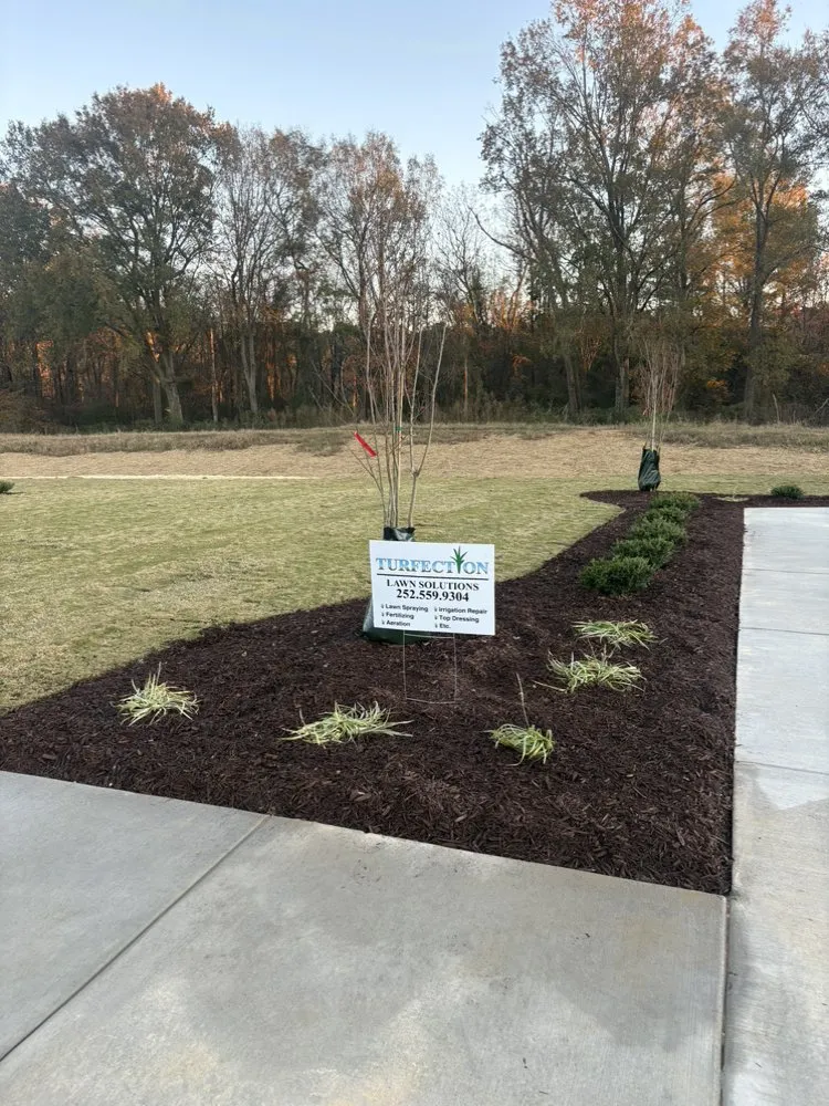 Affordable yard cleanup service experts serving Kinston, NC - Turfection Lawn Solutions