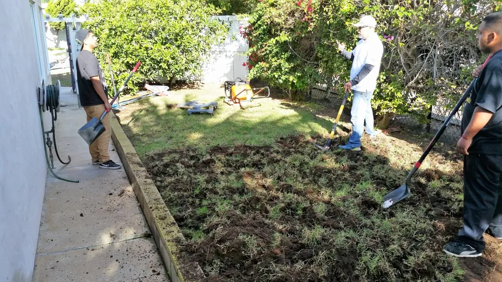 Top-rated outdoor landscaping in Simi Valley, CA - TURFevolutions of California