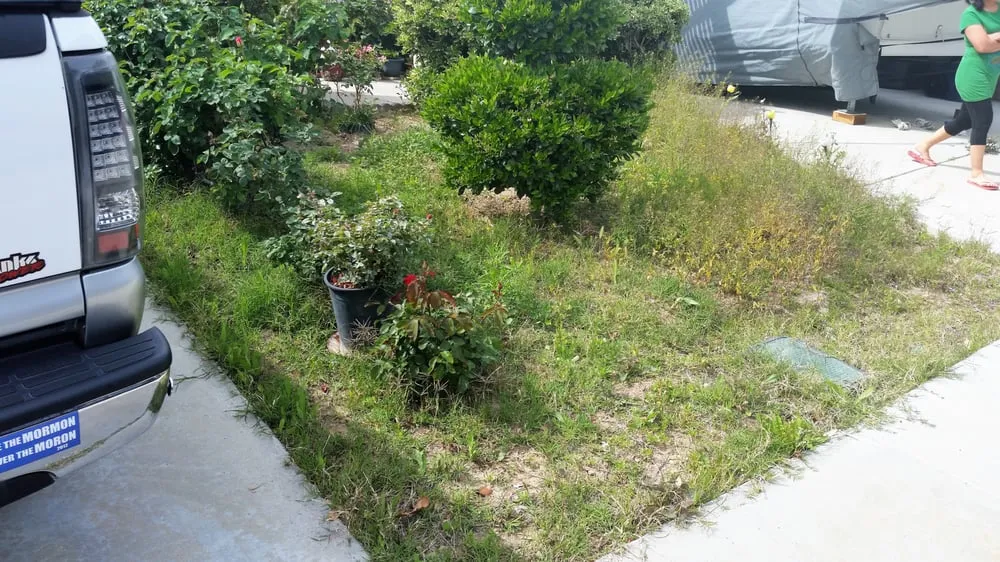 Local outdoor landscaping for homes across Simi Valley, CA - TURFevolutions of California