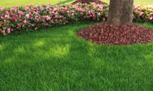Trusted lawn mowing service with custom design across New Port Richey, FL - Turff Masterz
