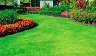 Affordable landscape installation experts serving New Port Richey, FL - Turff Masterz