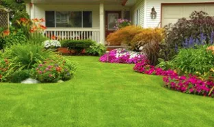 Expert landscaping services for outdoor upgrades in New Port Richey, FL by Turff Masterz