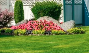 Top-rated garden landscaping for beautiful yards across New Port Richey, FL - Turff Masterz