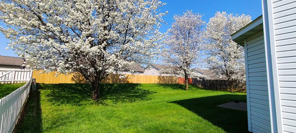 Local outdoor landscaping for homes across Lebanon, IL - TurfGator