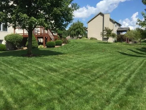 Reliable yard cleanup service for beautiful yards in Lebanon, IL by TurfGator