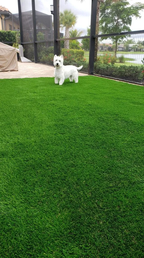 Expert yard maintenance experts serving Pompano Beach, FL - TurfGrass Artificial Solutions