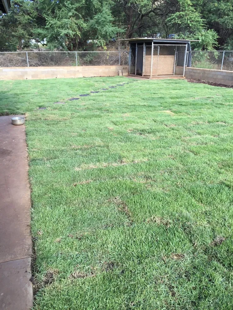 Top-rated outdoor landscaping for year-round maintenance across Waianae, HI - Turfgrass Hawaii