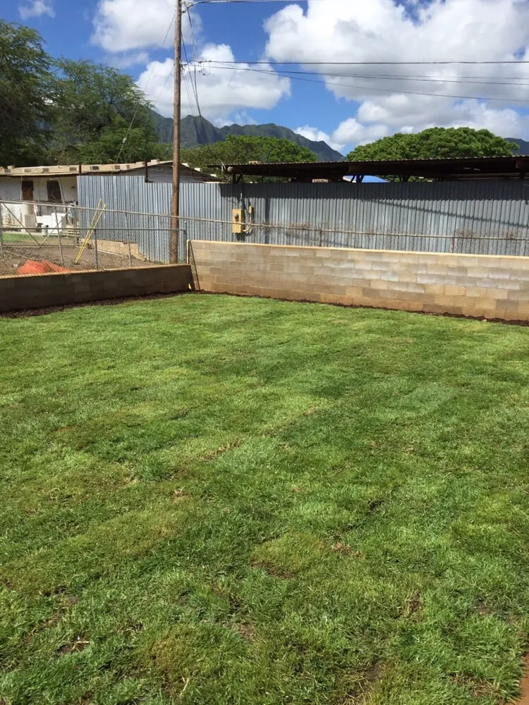 Affordable yard cleanup service for homes in Waianae, HI by Turfgrass Hawaii