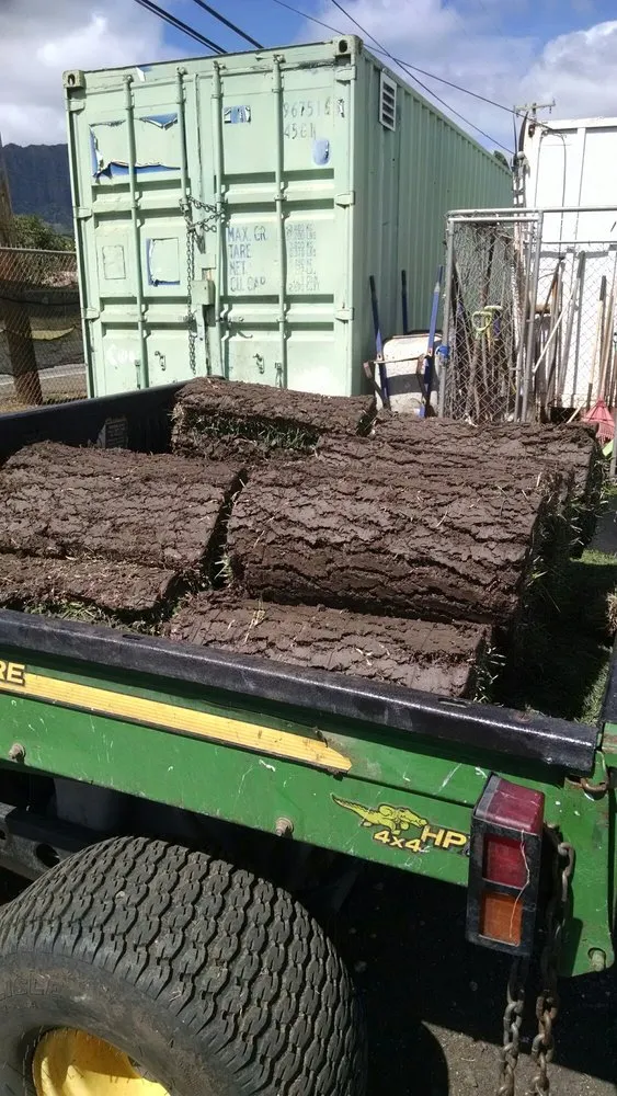 Affordable residential landscaping in Waianae, HI - Turfgrass Hawaii