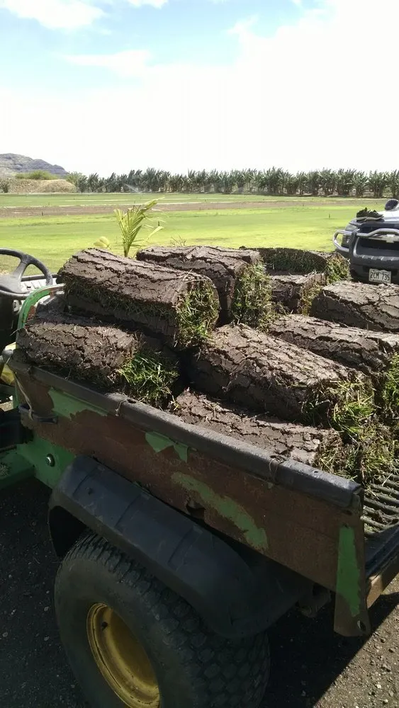 Custom yard cleanup service in Waianae, HI by Turfgrass Hawaii