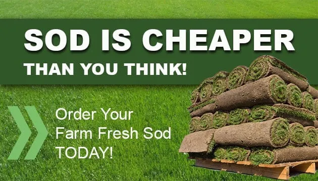 Custom lawn mowing service for residential properties across Waianae, HI - Turfgrass Hawaii