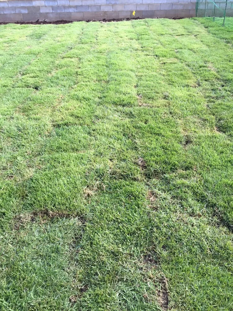 Reliable residential landscaping with custom design in Waianae, HI by Turfgrass Hawaii