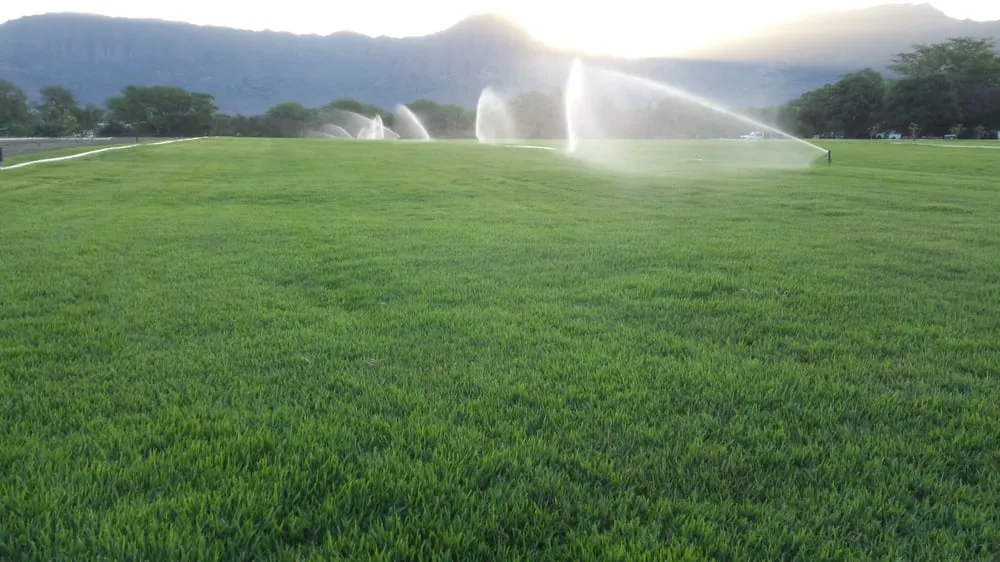 Trusted garden landscaping for homes across Waianae, HI - Turfgrass Hawaii