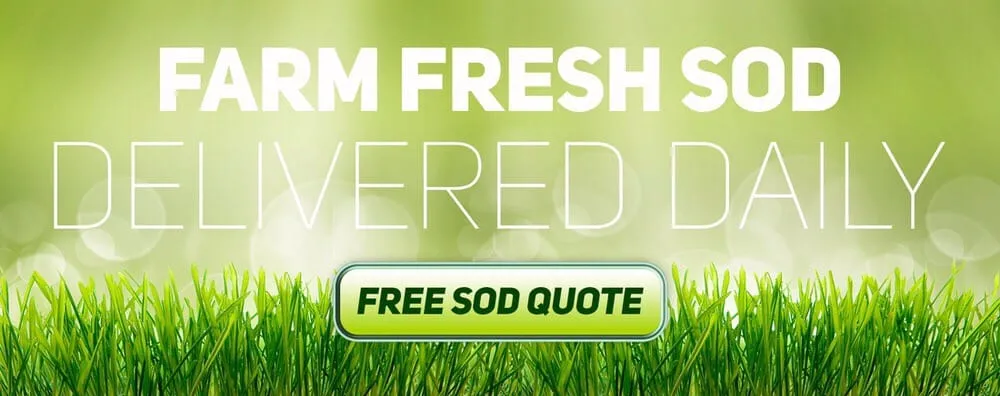 Affordable garden landscaping experts serving Waianae, HI - Turfgrass Hawaii