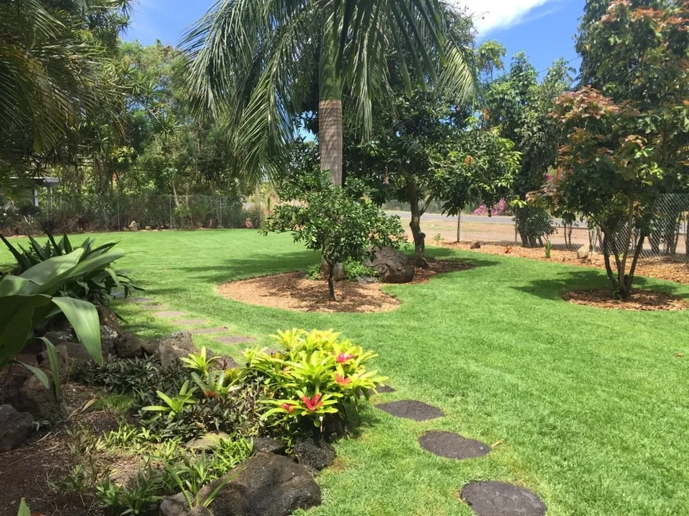 Expert yard cleanup service near you across Waianae, HI - Turfgrass Hawaii