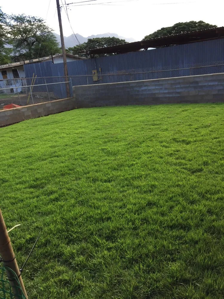 Expert residential landscaping experts serving Waianae, HI - Turfgrass Hawaii