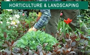 Professional landscape installation in Crowley, TX by Turfgrass Solutions