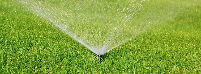 Custom outdoor landscaping in Crowley, TX by Turfgrass Solutions