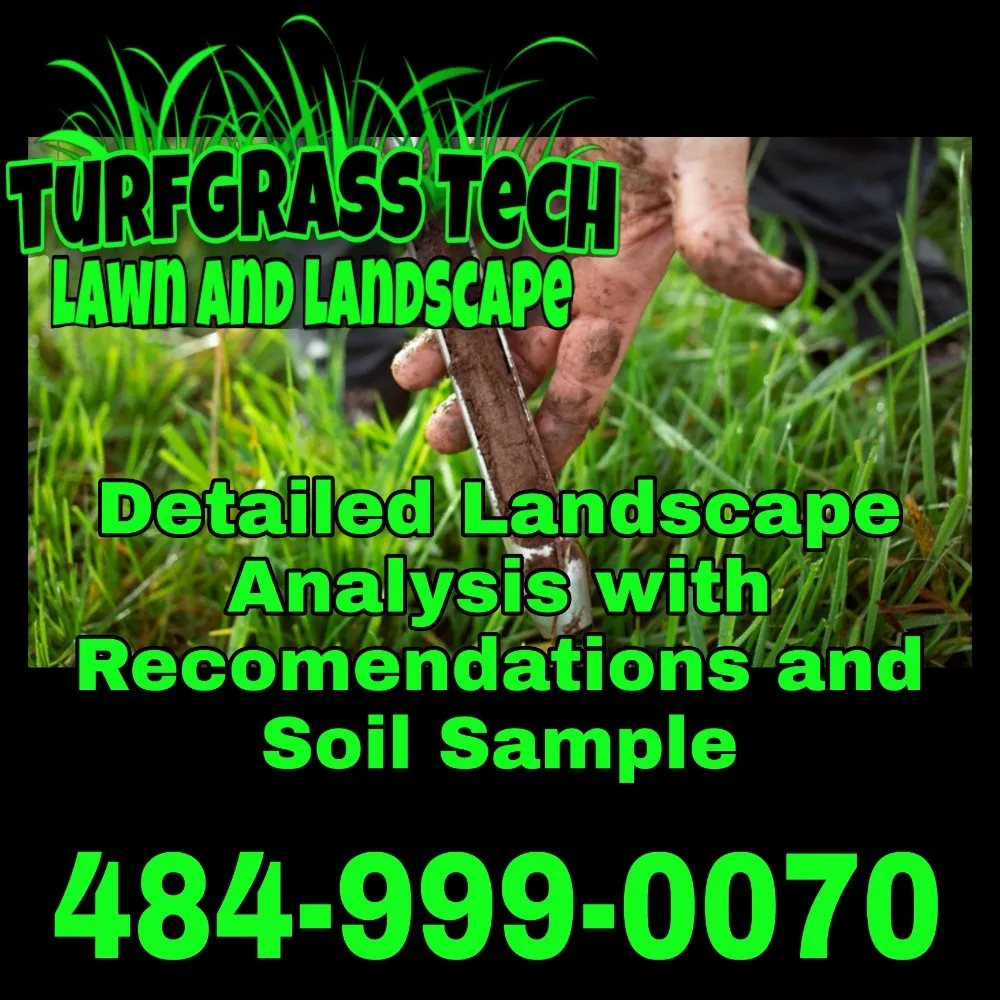 Reliable lawn mowing service in Stanton, DE - Turfgrass Tech
