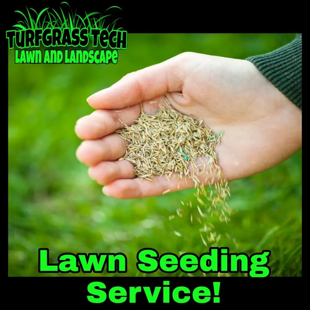 Trusted outdoor landscaping experts serving Stanton, DE - Turfgrass Tech