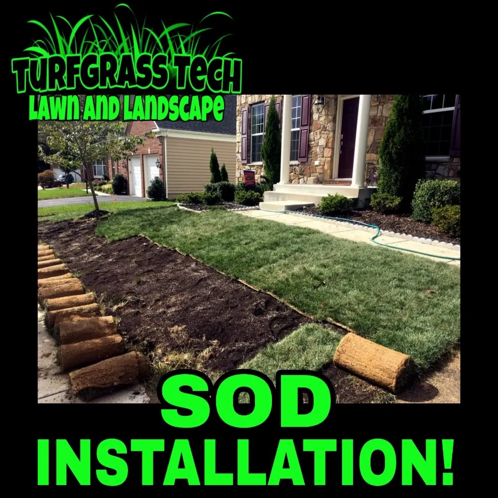 Custom landscape design for year-round maintenance in Stanton, DE by Turfgrass Tech
