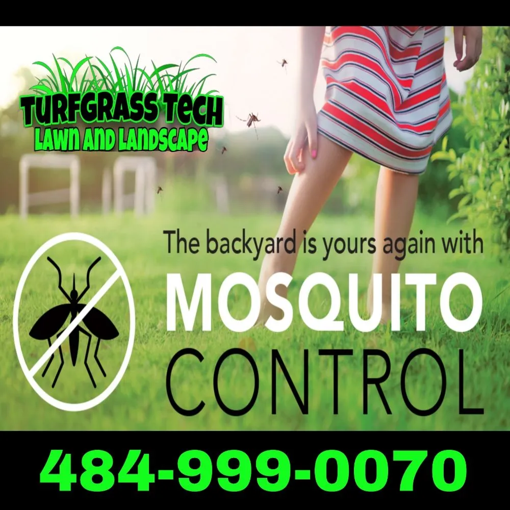 Custom yard cleanup service in Stanton, DE - Turfgrass Tech