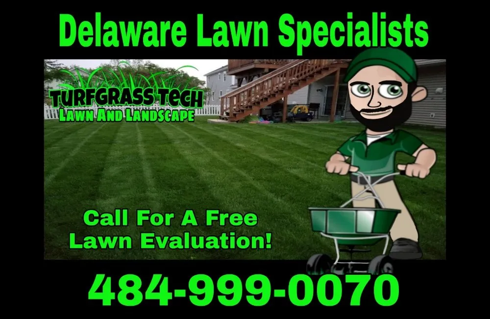 Top-rated yard cleanup service for outdoor upgrades in Stanton, DE by Turfgrass Tech
