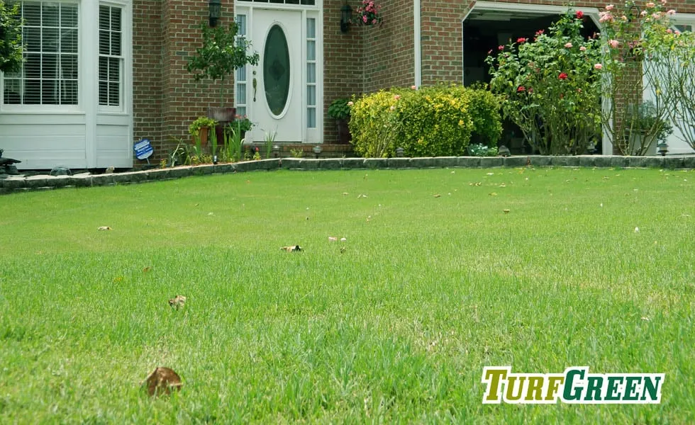 Trusted yard cleanup service for beautiful yards in Marietta, GA by TurfGreen