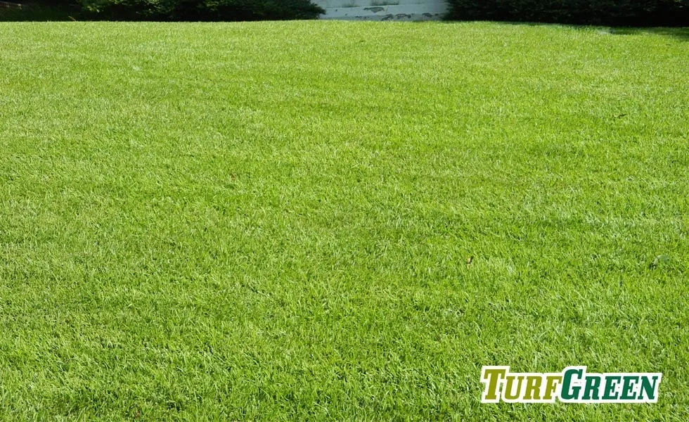 Local landscaping services near you in Marietta, GA by TurfGreen