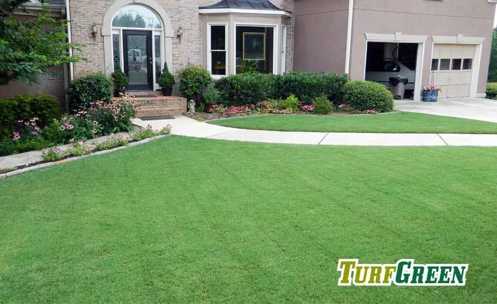 Local outdoor landscaping in Marietta, GA - TurfGreen
