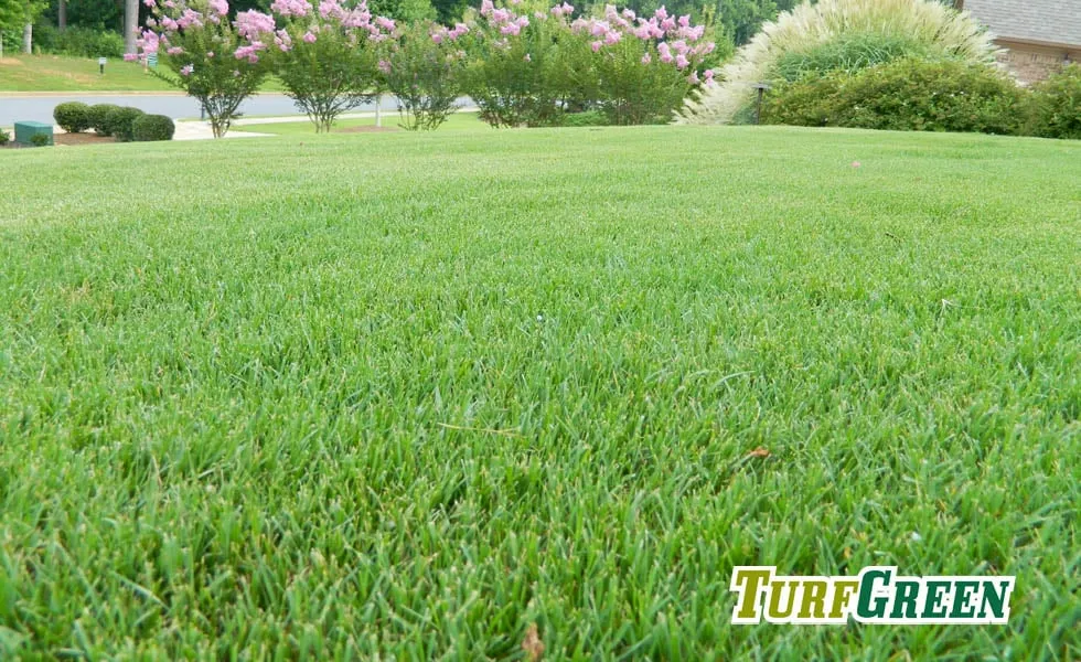 Professional outdoor landscaping in Marietta, GA by TurfGreen