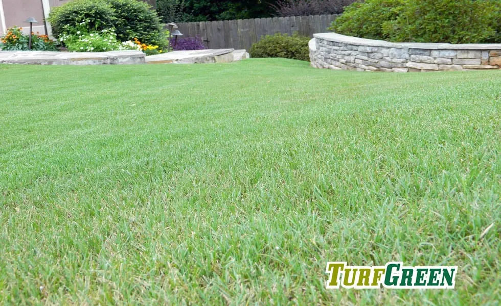 Local landscape installation for residential properties across Marietta, GA - TurfGreen