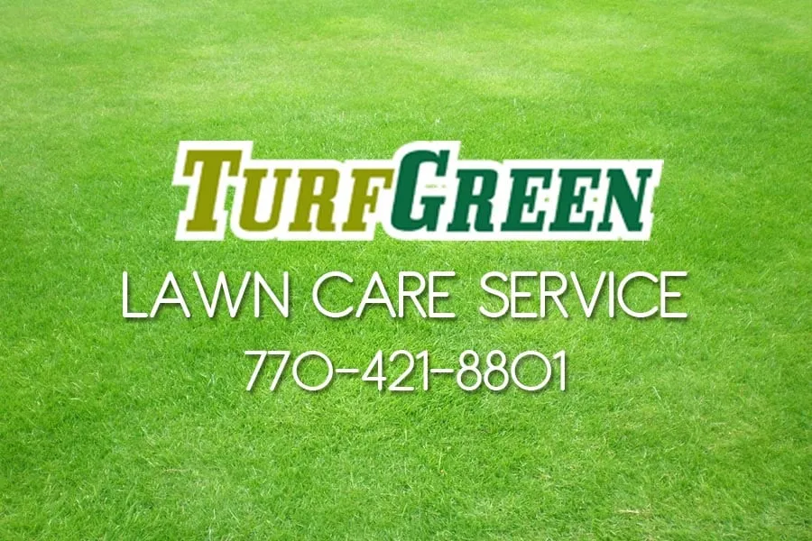 Professional residential landscaping experts serving Marietta, GA - TurfGreen