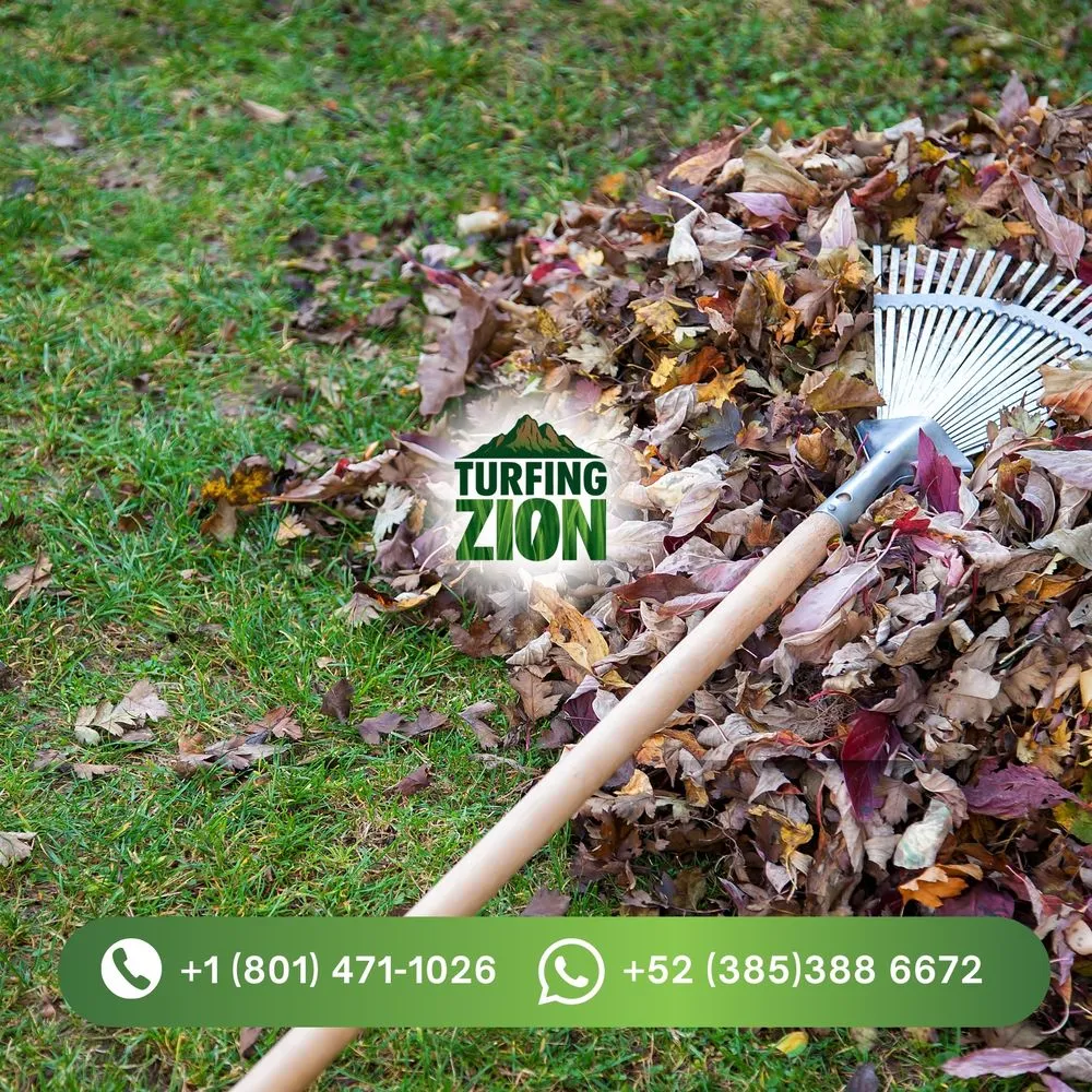 Local lawn care service for year-round maintenance in Cottonwood Heights, UT by Turfing Zion