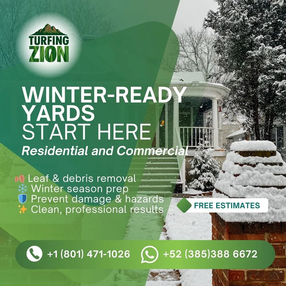 Reliable landscape design for outdoor upgrades across Cottonwood Heights, UT - Turfing Zion