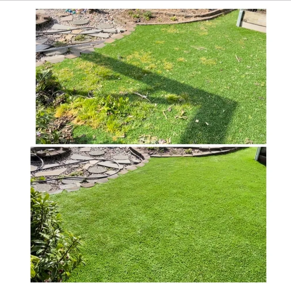Top-rated lawn mowing service in Portland, OR - Turfland Innovations