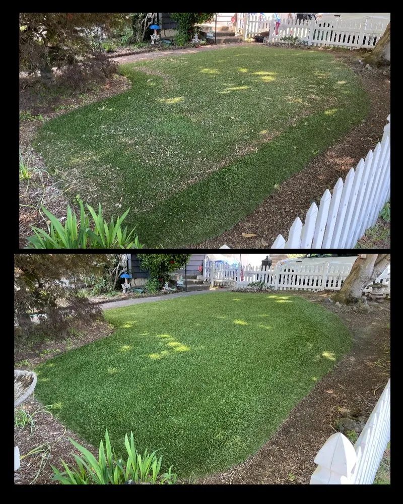 Professional landscape installation for homes in Portland, OR by Turfland Innovations