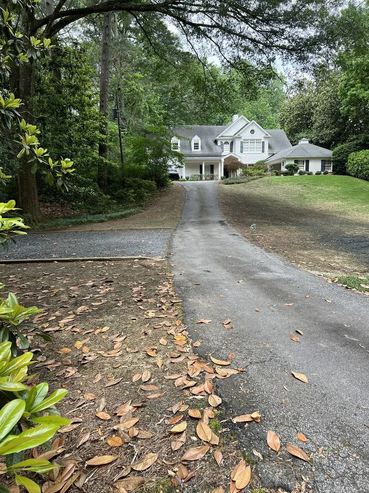 Trusted yard cleanup service experts serving Flowery Branch, GA - TurfMark Outdoor Solutions