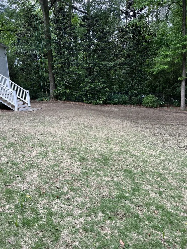 Expert outdoor landscaping with custom design in Flowery Branch, GA by TurfMark Outdoor Solutions