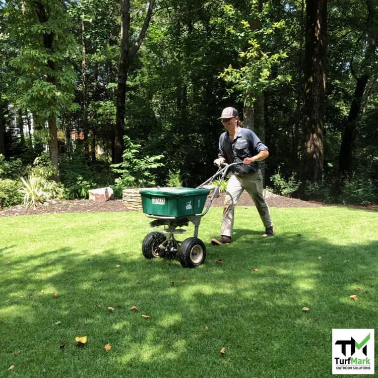Professional lawn care service with custom design across Flowery Branch, GA - TurfMark Outdoor Solutions