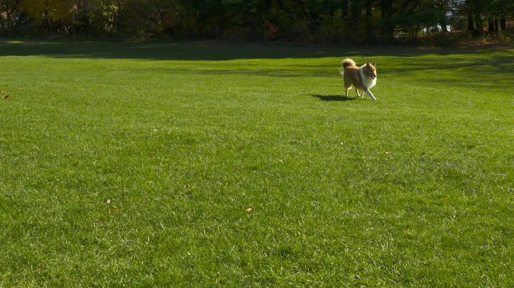 Custom garden landscaping for beautiful yards across Clinton, PA - TURFMaster