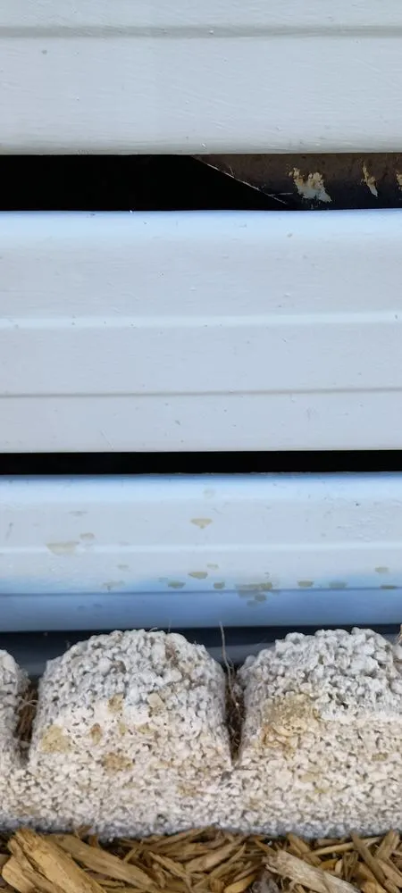 Custom lawn care service for residential properties in Sanford, FL by Turfmaster Lawn and Ornamental Care