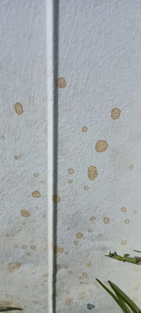 Local landscaping services near you across Sanford, FL - Turfmaster Lawn and Ornamental Care